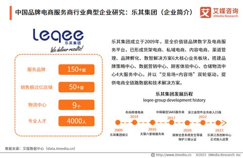 2023年中國(guó)品牌電商服務(wù)商行業(yè)研究報(bào)告 社會(huì)經(jīng)濟(jì)咨詢服務(wù)洞察